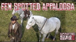 Got the beautiful rare Few Spotted Appaloosa today, Perdita is a good girl.  : r/reddeadredemption