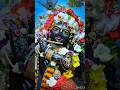 “पकड़ लो हाथ बनवारी”🙏🙏#banwariji #krishna#youtubeshorts #shortsfeed #bhakti #shyam #devotional #love