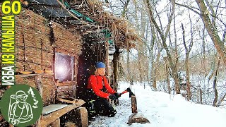 🔥 Зимний День В Избе: Кормлю Птиц И Себя 🪓 Бушкрафт В Избе Из Камыша - Серия 60