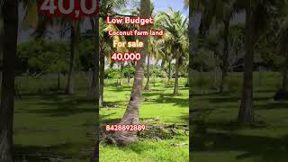 Low Budget Beautifull Coconut Farm House For Sale Near Ecr Kadapakkam👉 8428892889