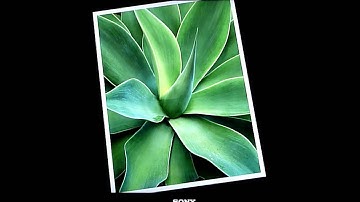 Apple TV Screen Saver Setting