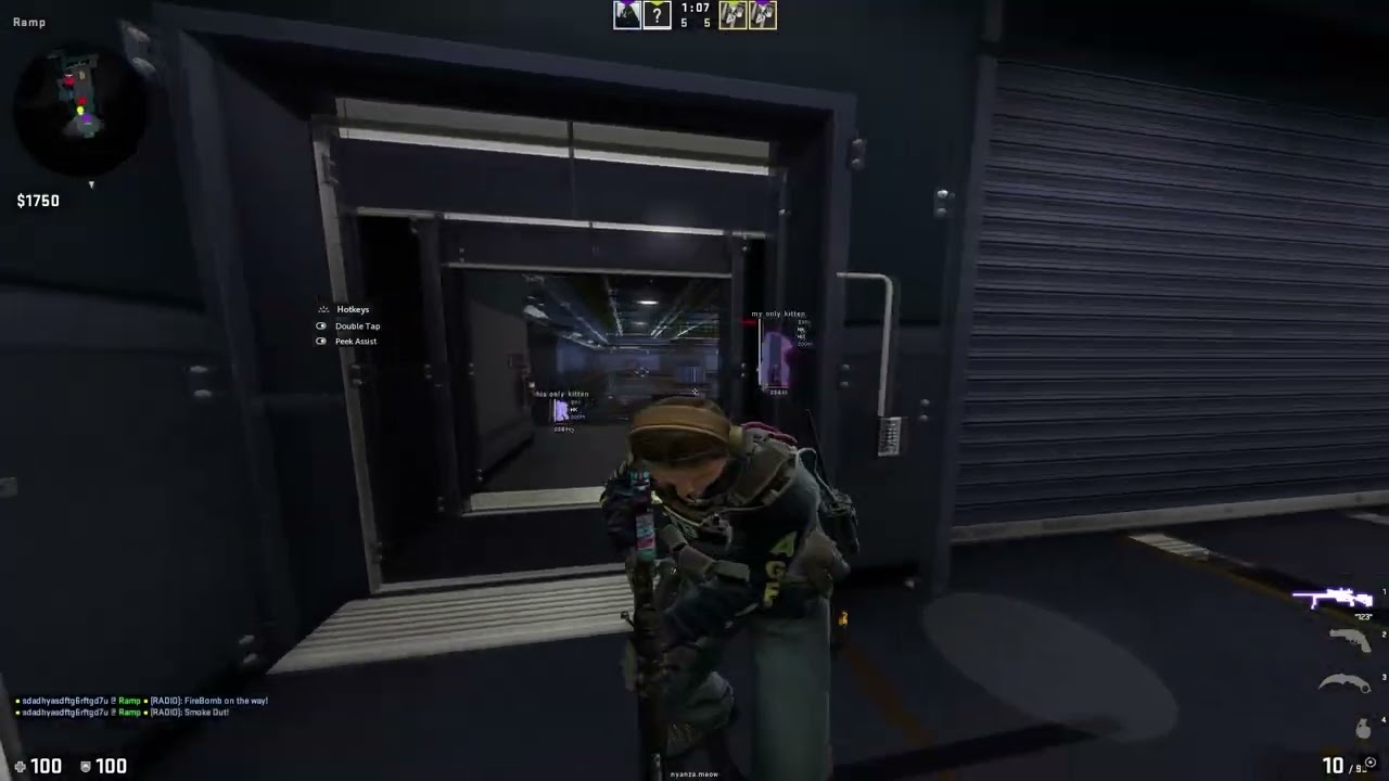 HvH HighLights neverlose