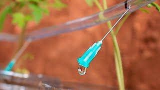 How to make DRIP IRRIGATION easy and almost free |Rick Garden|
