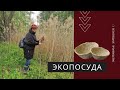 ЭКОПОСУДА: Как я нашла замену одноразовой пластиковой посуде???!!!