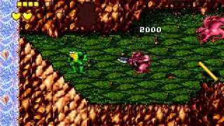 Battletoads