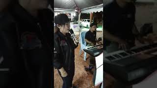 Download Lagu Organ tunggal - Pendusta cinta by jam's buskers MP3