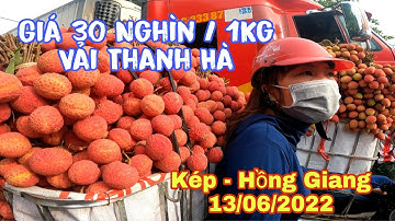 Tắc Đường Tại Ngã 3 Kép Nhưng Vải Thanh Hà Giá Vẫn Trên 30K - Vải Thiều Lục Ngạn | Lục Ngạn Mới