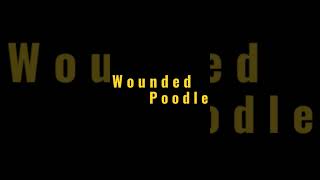 Wounded Poodle Intro