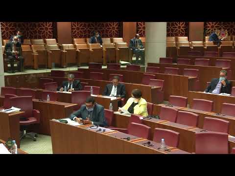 Benchaâboun au parlement sur l’exécution de la LF 2020 et la préparation de la LF 2021