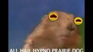 Hypno Prairie Dog