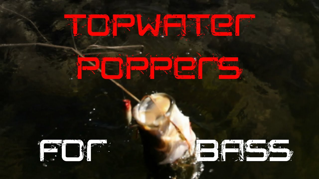 Bass Fishing: How to fish a Popper 