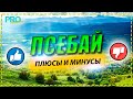 Псебай. Место где я живу. О работе, проживании и природе.