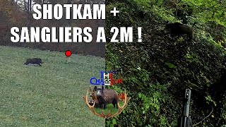 Shotkam Sangliers Battues The Chasseur Le Retour