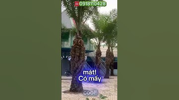 ✨ Đất View Sông Siêu Đẹp – Phú Hữu, Quận 9 | Đầu Tư Sinh Thái & Nghỉ Dưỡng 5.836 m² ✨-clip3