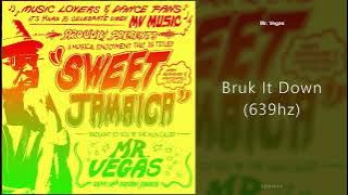 Mr. Vegas - Bruk It Down (639hz)