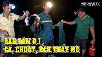 Trải Nghiệm Săn Bắt Chuột, Bắt Cá, Bắt Ếch, Lụm Trứng Đêm Miền Tây Bắt Cá Lên Cực Vui/NGÃ NĂM TV