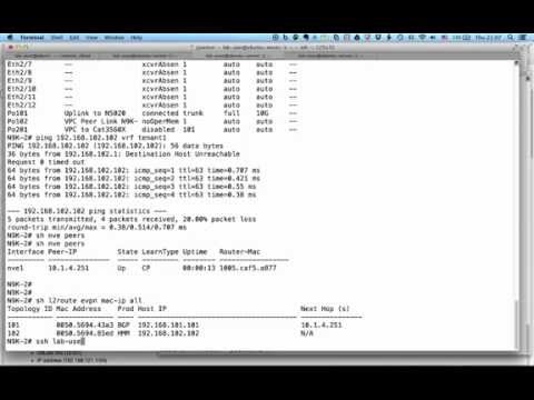 Python shell for VXLAN EVPN config management