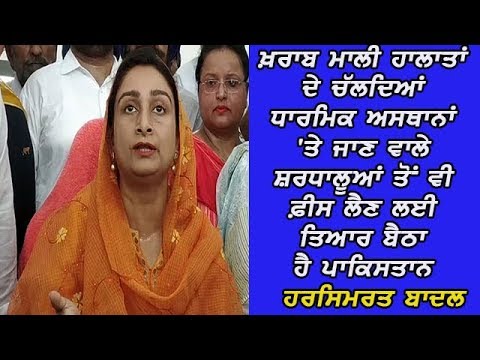 Harsimrat Badal on Kartarpur corridor - ਨੰਨ੍ਹੀ ਛਾਂ ਦੇ 11 ਸਾਲ ਪੂਰੇ ਹੋਣ `ਤੇ ਹਰਸਿਮਰਤ ਬਾਦਲ ਨੇ ਕੱਟਿਆ ਕੇਕ