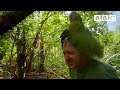 Shagged by a rare parrot  last chance to see  bbc