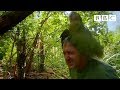 Shagged by a rare parrot | Last Chance To See - BBC