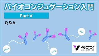 バイオコンジュゲ―ションセミナー　Q&A　動画