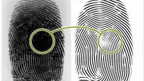 Fingerprint Matching Technology