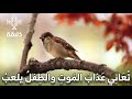 كعصفورة في كف طفل يهينها قيس ابن الملوح mp3