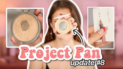 PROJECT PAN UPDATE... Trying to use up 22 items before the end of the year!