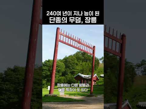 단종의 마지막, 장릉ㅣ영화보다 더 슬픈 실화 #왕과사는남자