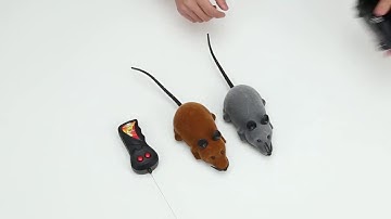 RCM wireless Cat Toy-How to install Batteries.