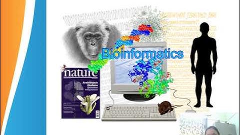 Bioinformatics
