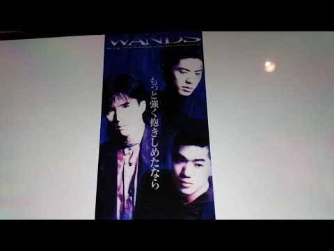 WANDS 　もっと強く抱きしめたなら　(Cover ）