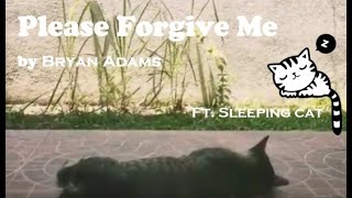 Please Forgive Me - Bryan Adams Ft. Sleeping Cat