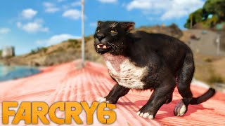 FAR CRY 6 #50 | CAÇANDO TODOS OS ANIMAIS SELVAGENS RAROS! (ÚLTIMO EPISÓDIO)