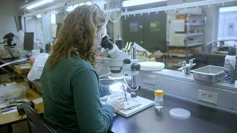 Seed Viability Testing Protocols with Katie Pittman