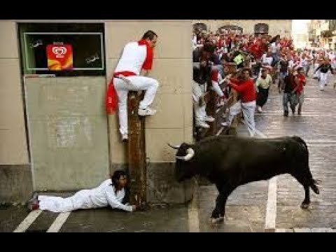 best funny bullfighting  festival 2020