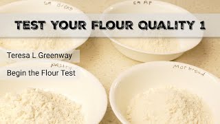 Sourdough Exploration - Test Your Flour 1