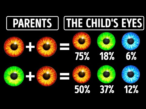Video: Kan enäggstvillingar ha olika ögonfärg?