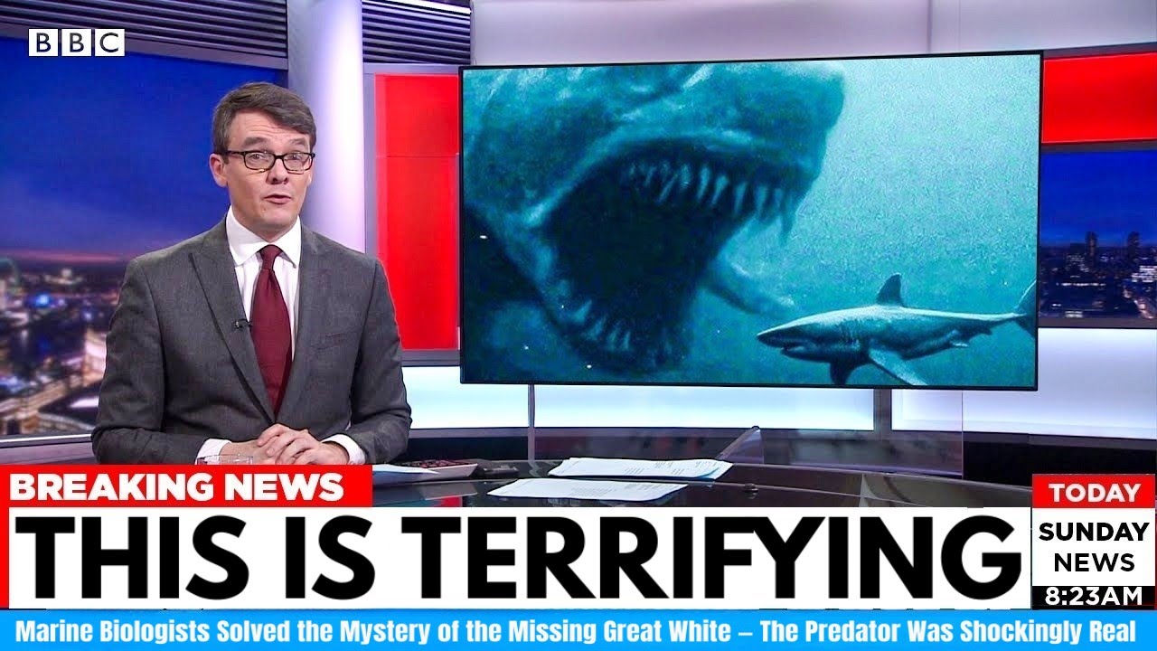 Marine Biologists Solved the Mystery of the Missing Great White — The Predator Was Shockingly Real