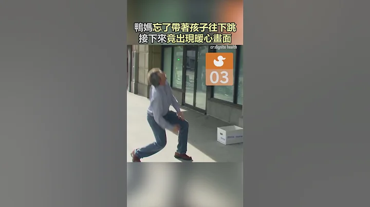鴨媽媽忘了自己帶著孩子往下跳,沒想到一旁路人反應超暖心!#動物#寵物#善良#可愛#感動#shorts - 天天要聞