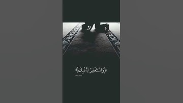 تلاوه هادئه تريح النفس سورة الحجرات