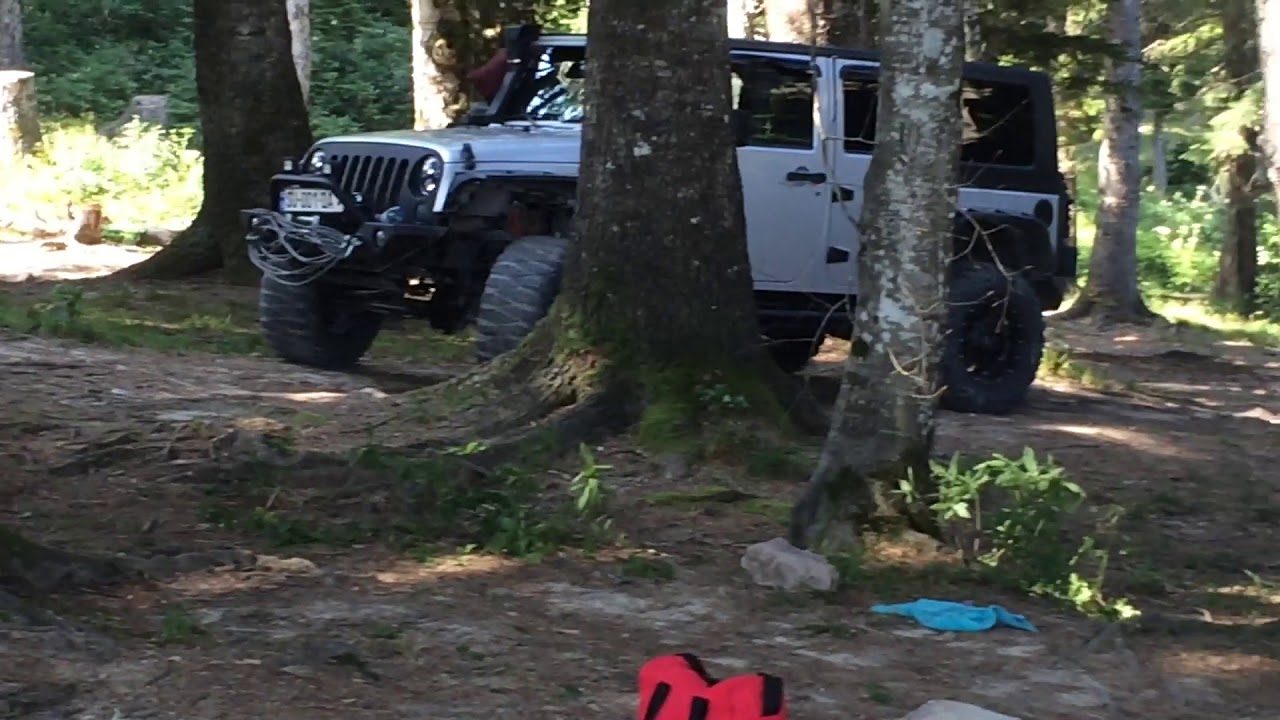 Cane Corso Ozzy Muro 9 jvari Racha - YouTube