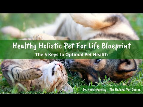 Healthy Holistic Pet For Life Blueprint with Dr. Katie Woodley