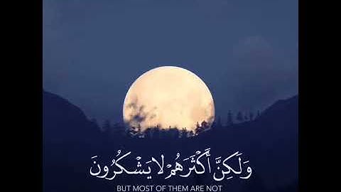 #آلَحـمـدٍ آلَلَهّ وٌآلَشكـر#القرآن الكريم