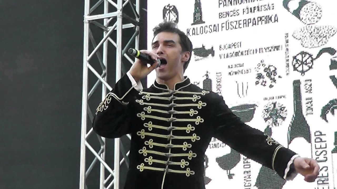 Hej cigány-Dolhai Attila