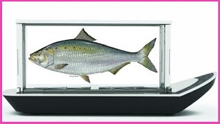 High Tech kitchen gadgets worth buying