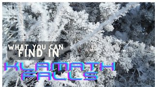 Klamath Falls After The Sun Came Out - MORE HOAR FROST