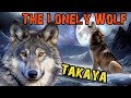 The Heartbreaking Tale of a Lonely Wolf Who is Waiting For 7 Years। Facts Phylum