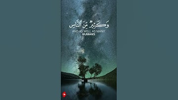 سورة الحج الايه 18| تلاوة للتاريخ من ياسر الدوسري | Surah Al-Hajj verse 18 |  #قران_كريم