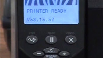 Zebra Printer - Pause Test
